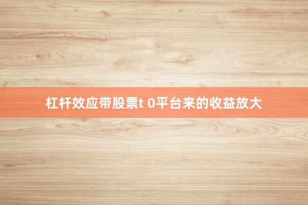 杠杆效应带股票t 0平台来的收益放大