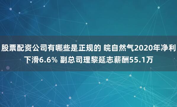股票配资公司有哪些是正规的 皖自然气2020年净利下滑6.6% 副总司理黎延志薪酬55.1万