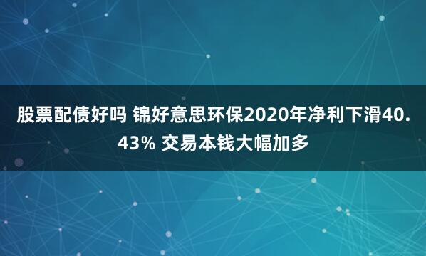 股票配债好吗 锦好意思环保2020年净利下滑40.43% 交易本钱大幅加多