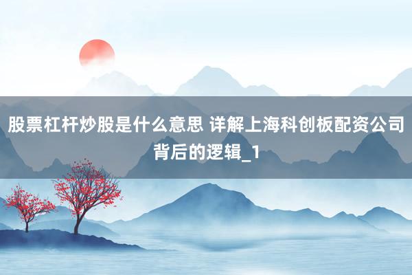 股票杠杆炒股是什么意思 详解上海科创板配资公司背后的逻辑_1